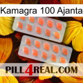 Kamagra 100 Ajanta 27